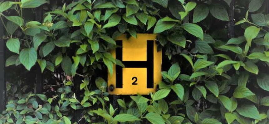 Hydrogen symbol between plants